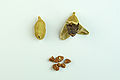 Green cardamom seeds